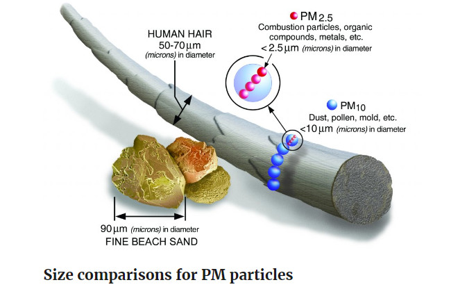 Particulate Matter