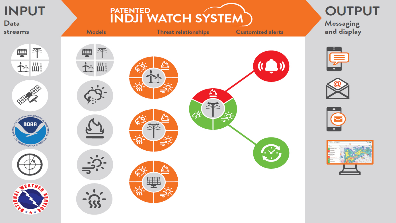 patent infogrpahic_web