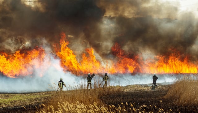 Wildfire approaching solar farm