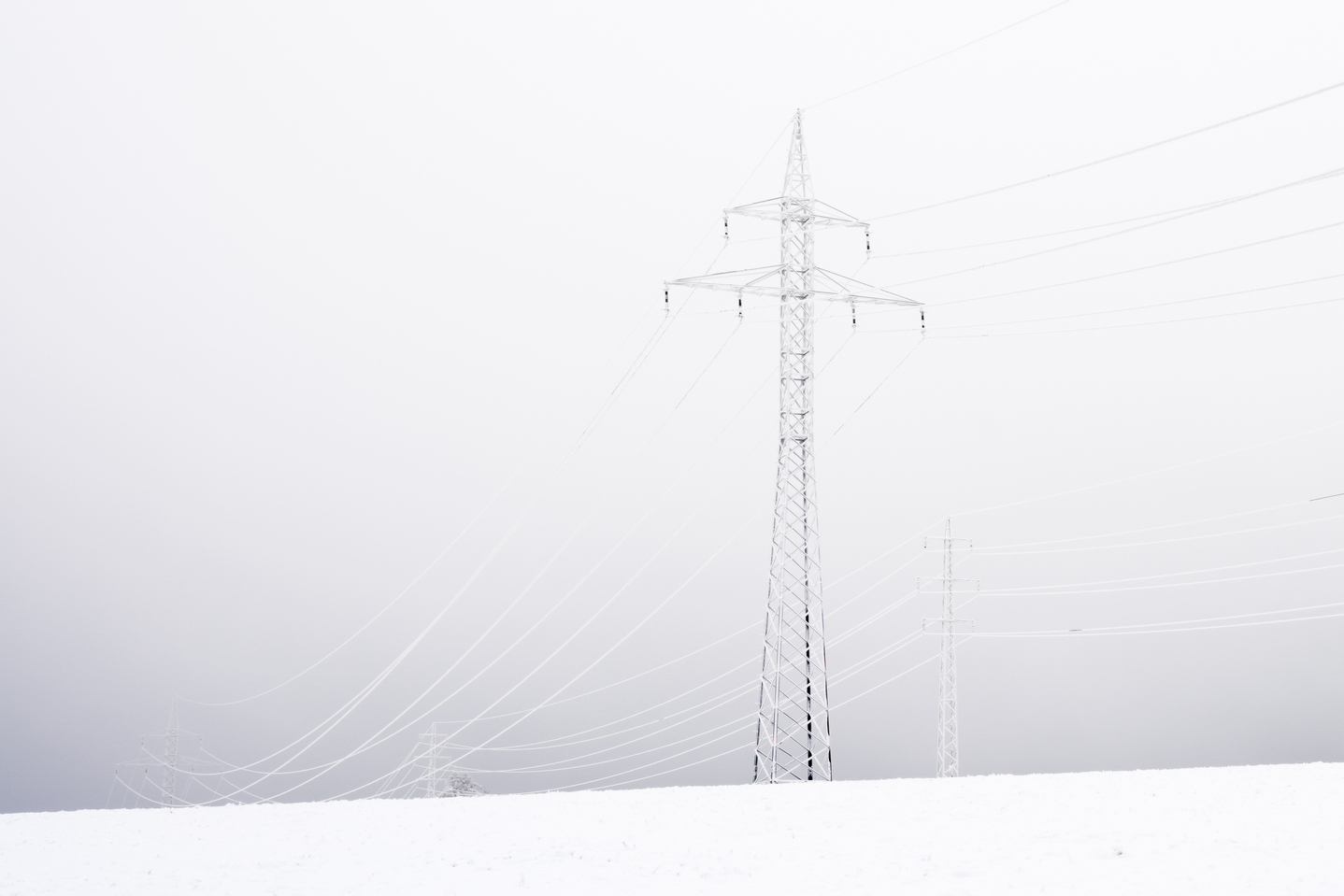 Power lines in freezing fog